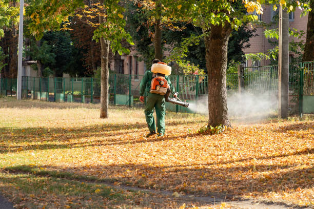 Best Local Pest Control Services  in Wetherington, OH