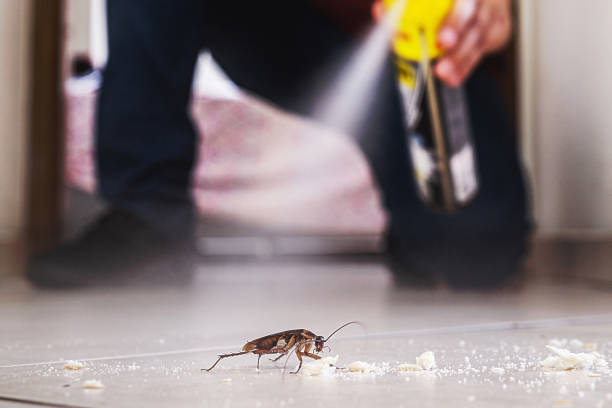 Best Wasp Removal Services  in Wetherington, OH